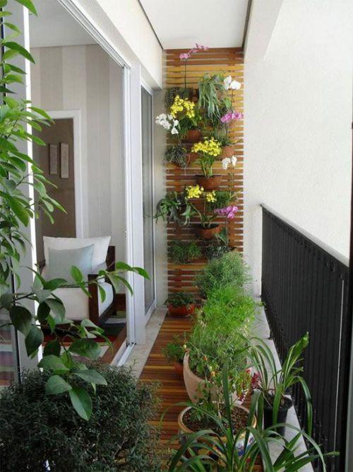 Decorar con plantas