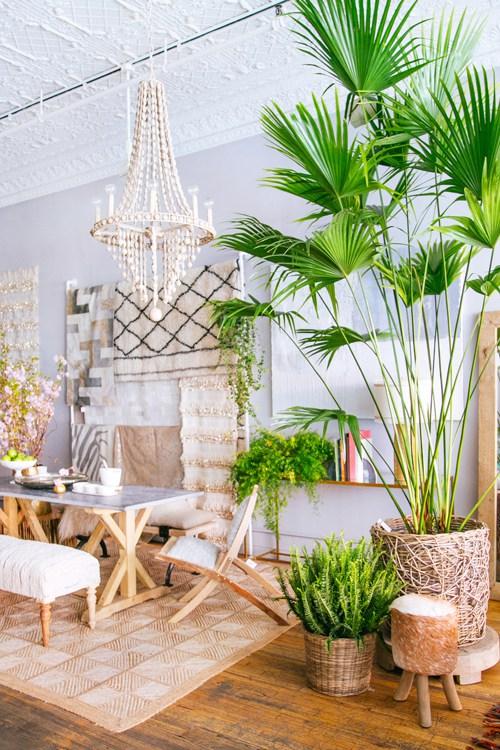 Decoración tropical