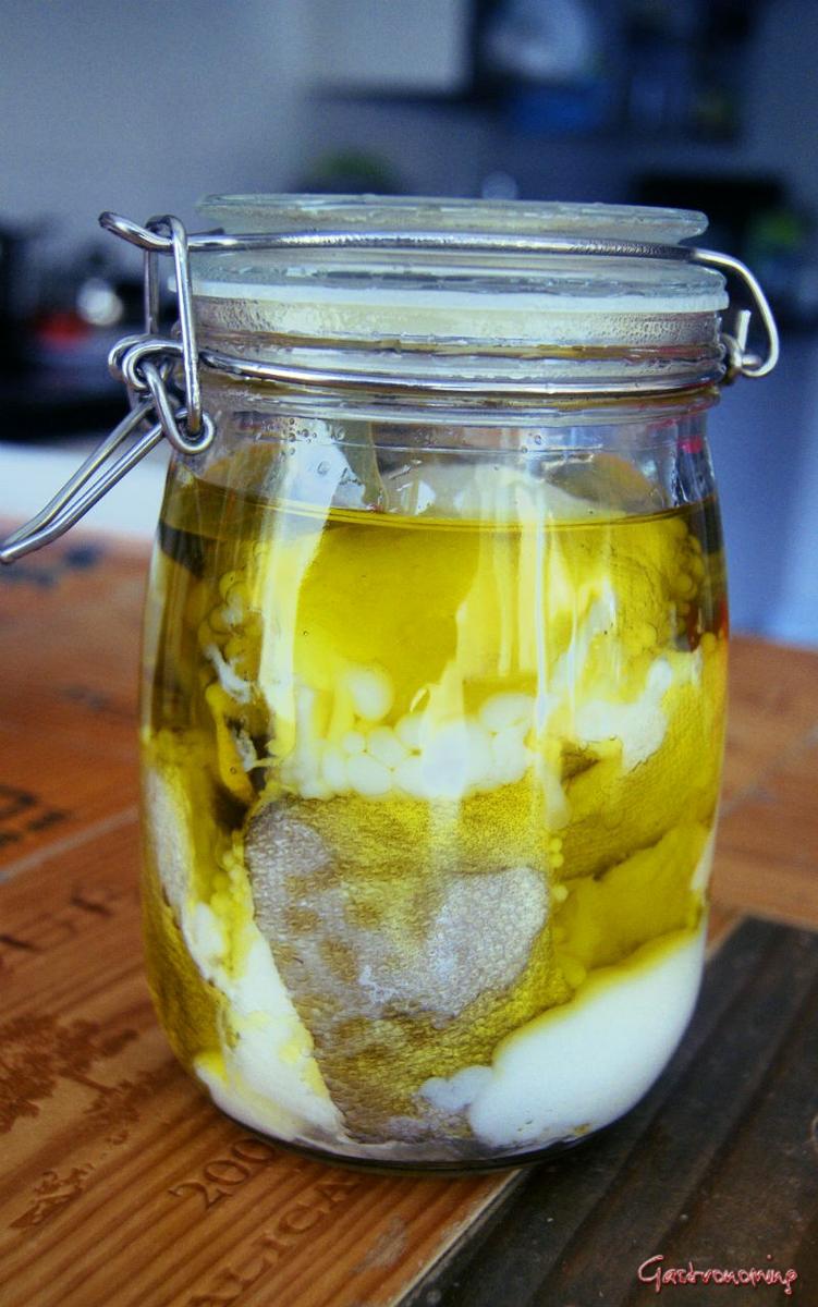 ensalada de ventresca de bacalao