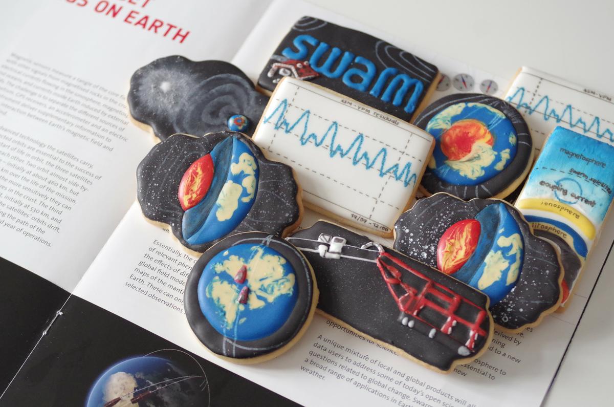 doctorcookies magnetic cookies (12)