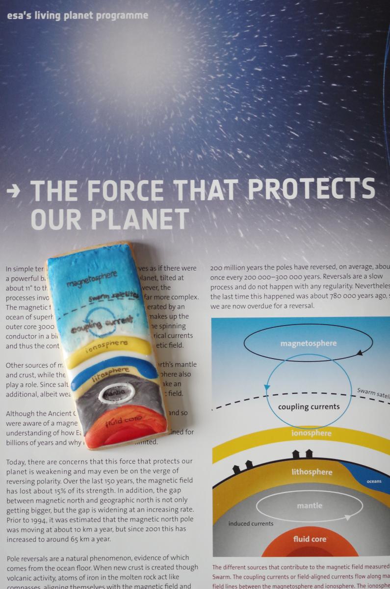 doctorcookies magnetic cookies (3)