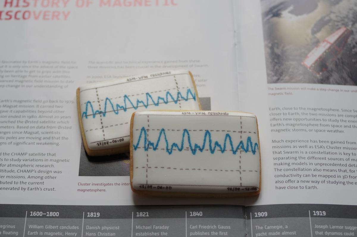 doctorcookies magnetic cookies (5)