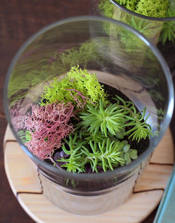 terrario para decorar detalle