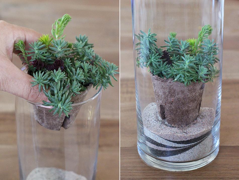 terrario para decorar paso 4