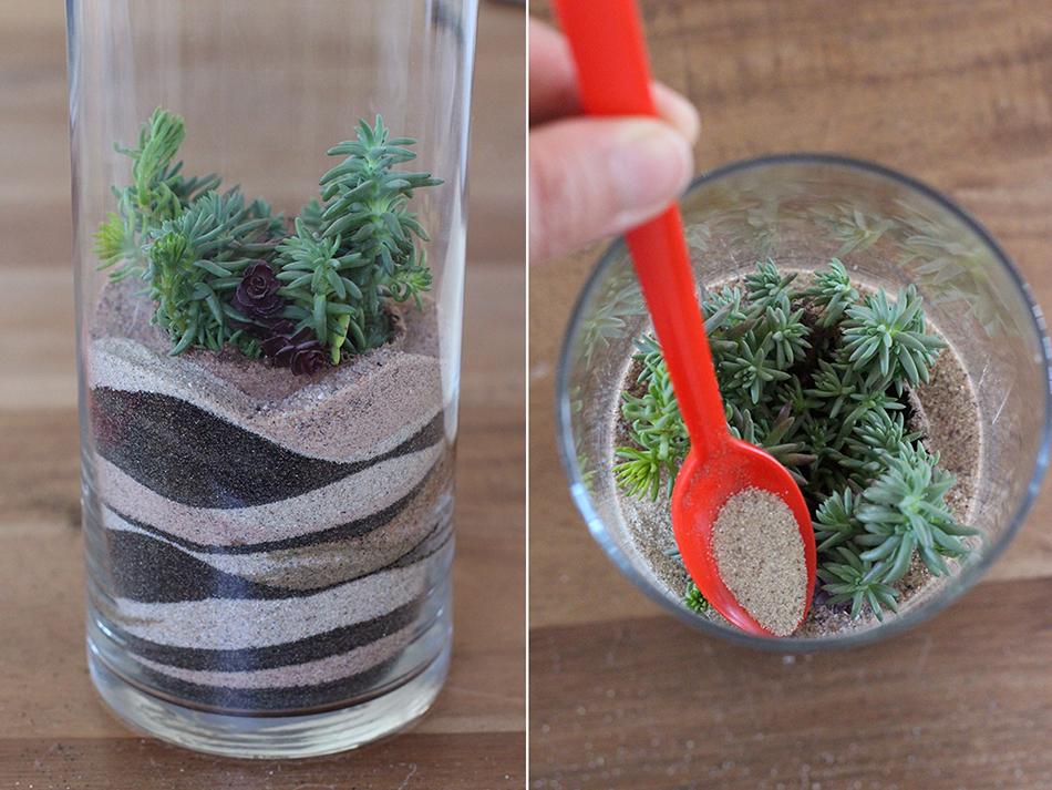 DIY: Cómo hacer un terrario para decorar tu casa | Decoración