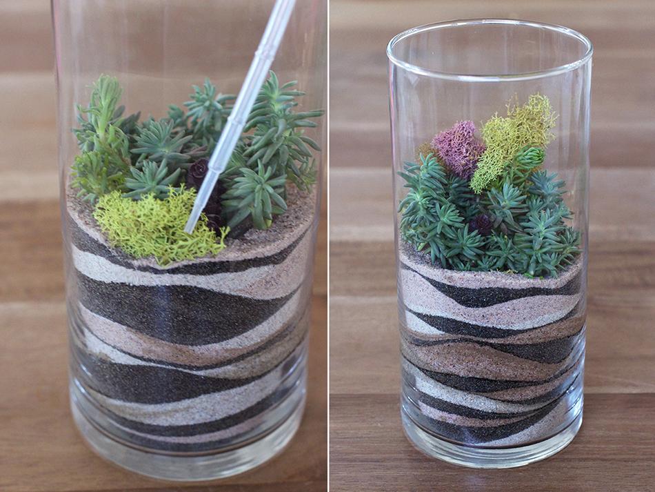 terrario para decorar paso 7