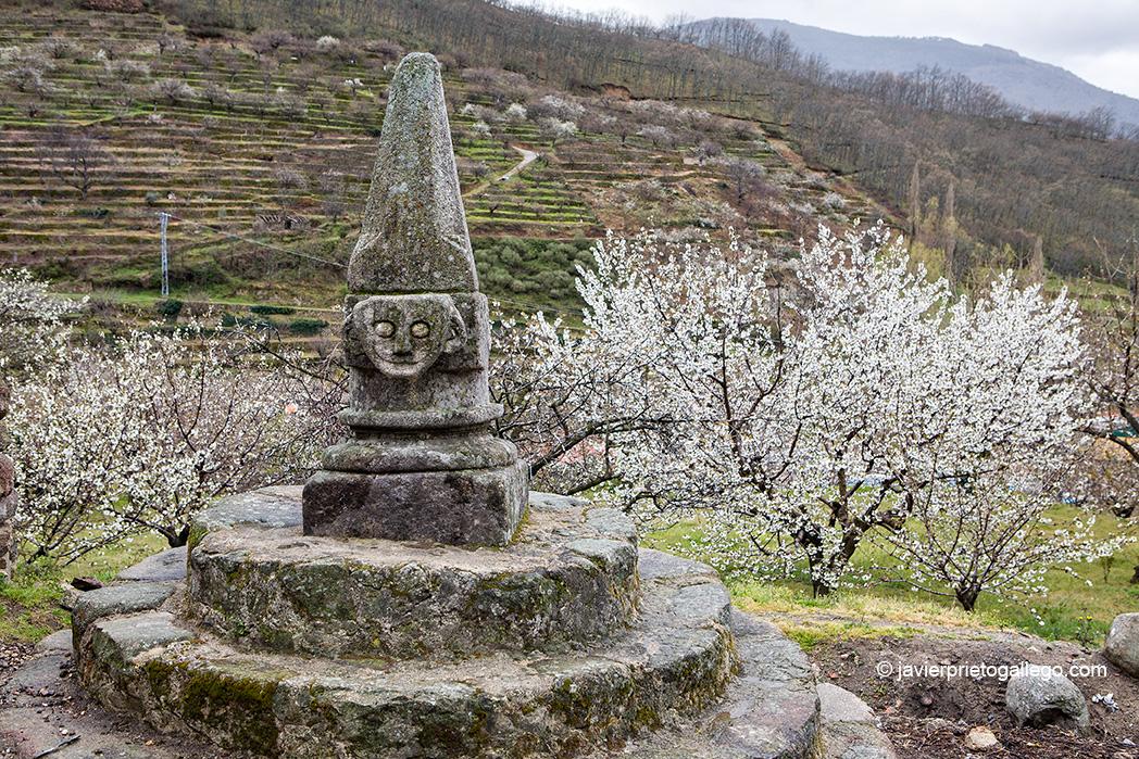 Picota medieval de la Marirrolla. Tornavacas. Valle del Jerte. Fiesta del Cerezo. Extremadura. España © Javier Prieto Gallego;