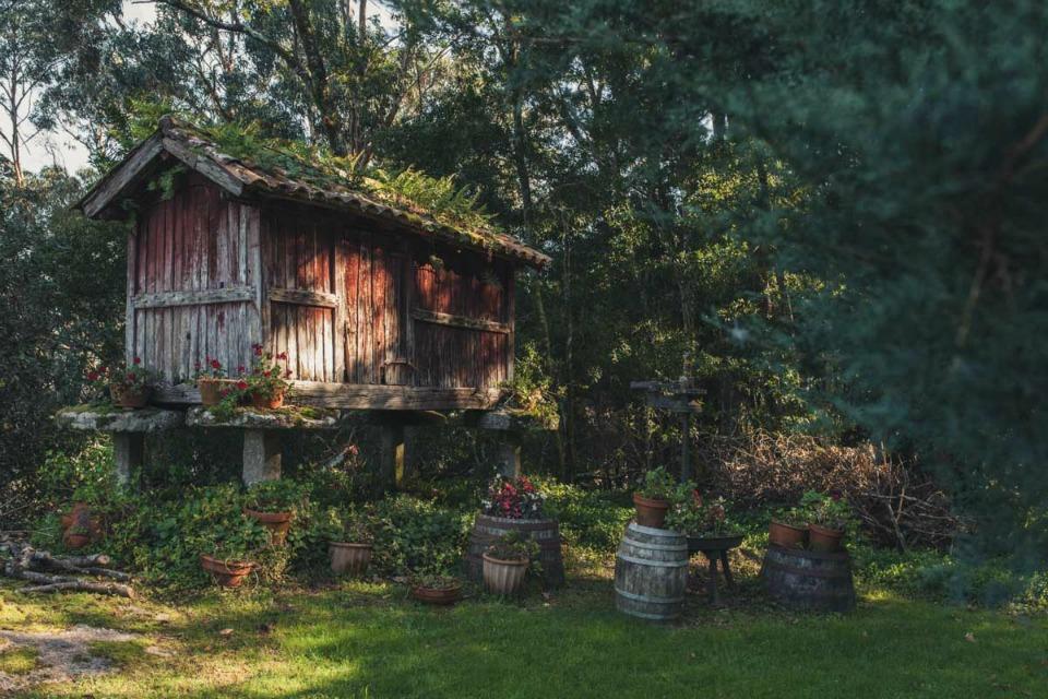 Una boda en un Invernadero