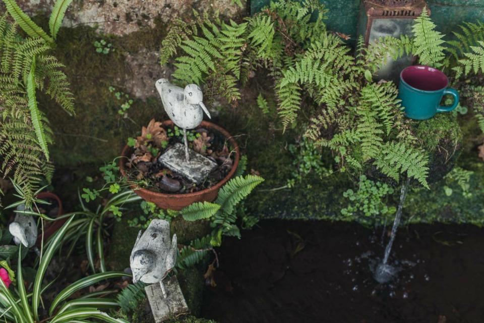 Una boda en un Invernadero