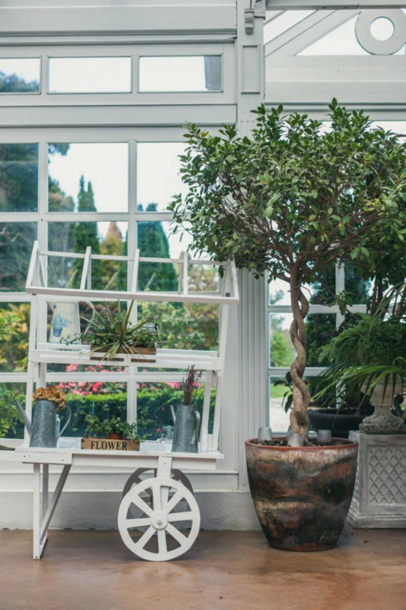 Una boda en un Invernadero