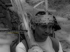 Bajada de Los Palmeros de Chacao