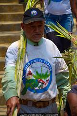 Bajada de Los Palmeros de Chacao