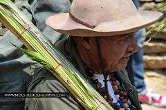 Bajada de Los Palmeros de Chacao