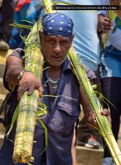 Bajada de Los Palmeros de Chacao