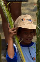 Bajada de Los Palmeros de Chacao
