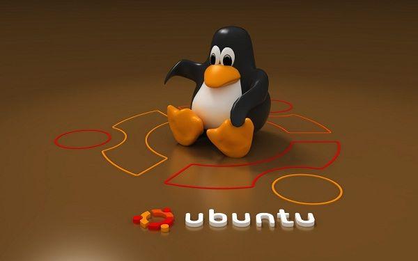 Ubuntu preferido por muchos