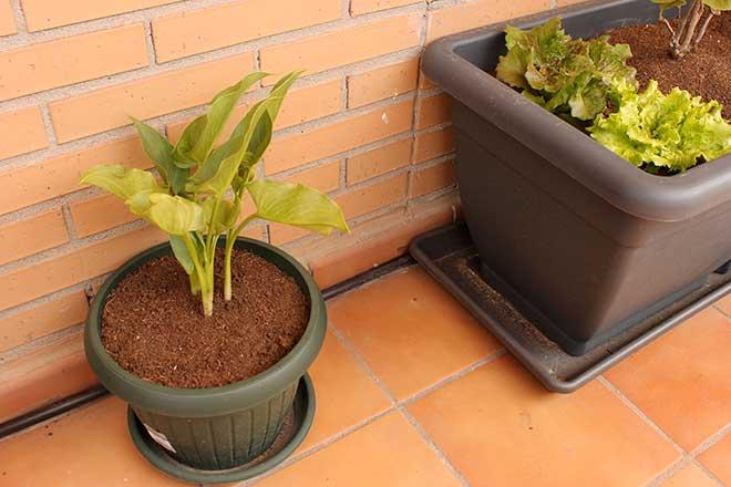 tuberia de riego por goteo