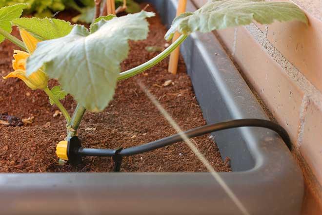 goteros para riego por goteo