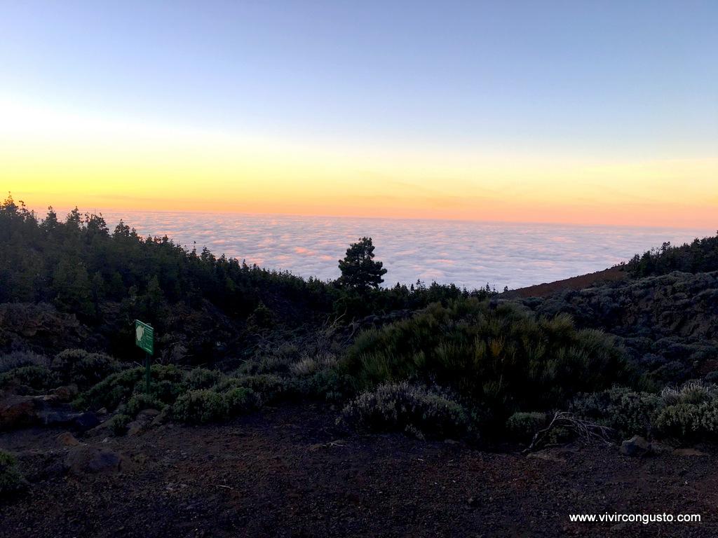 1603_26.Tenerife390 copia