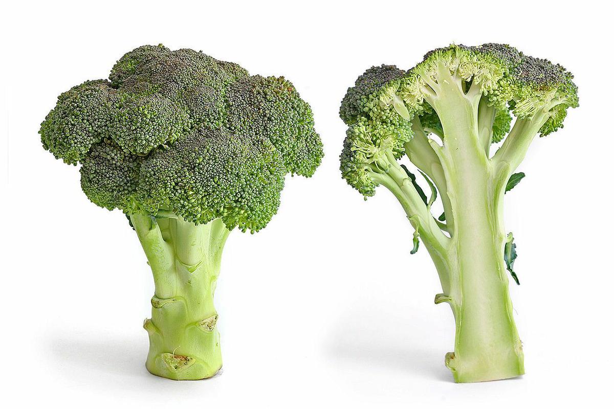 broccoli super alimento