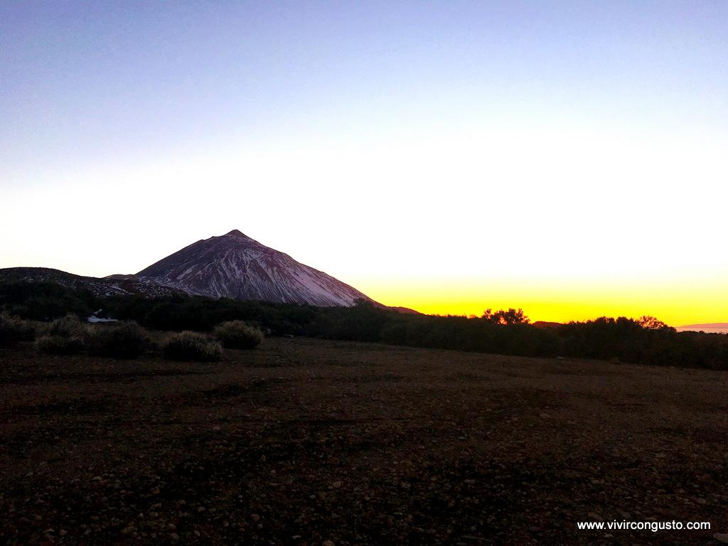1603_26.Tenerife416 copia