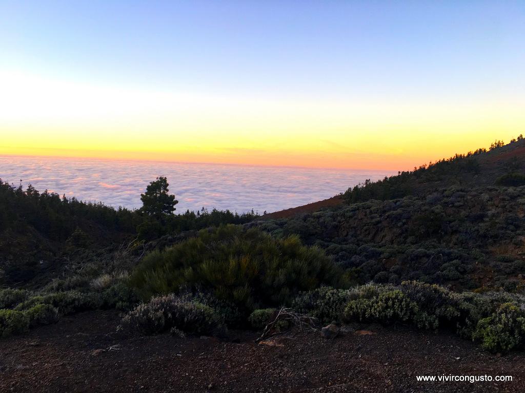 1603_26.Tenerife404 copia