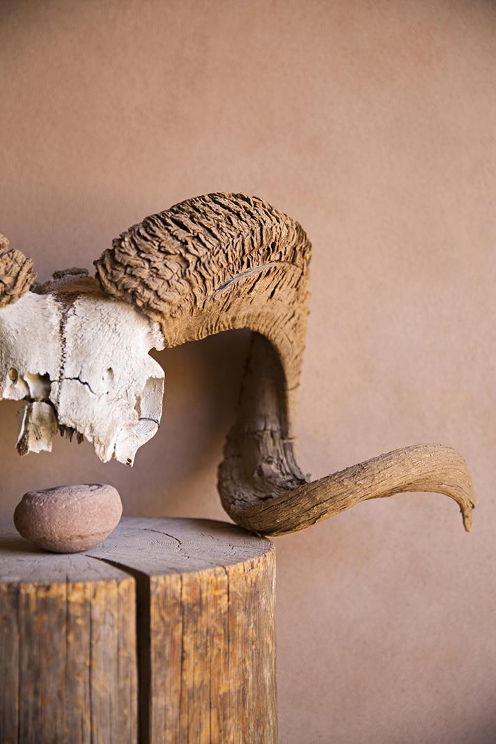 Georgia OKeefe-Casaquesuma08