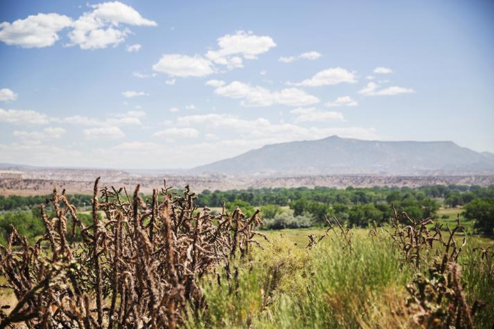 Georgia OKeefe-Casaquesuma09