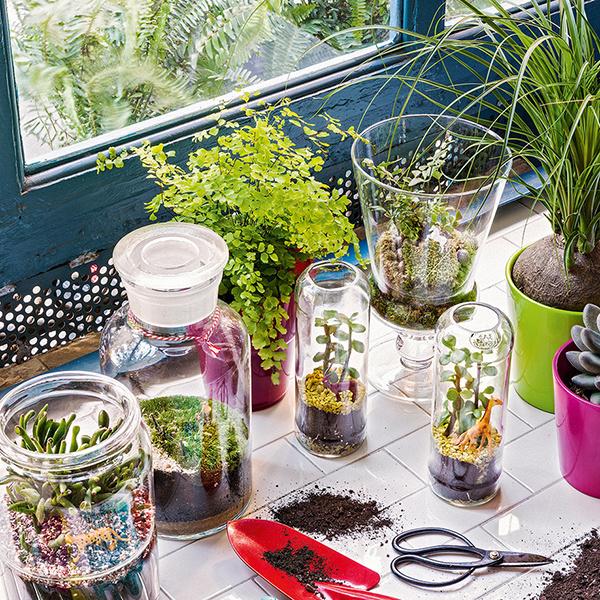 decorar_plantas_9307_600x600