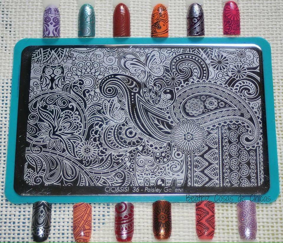 12900147_1027139914029555_425119301_n