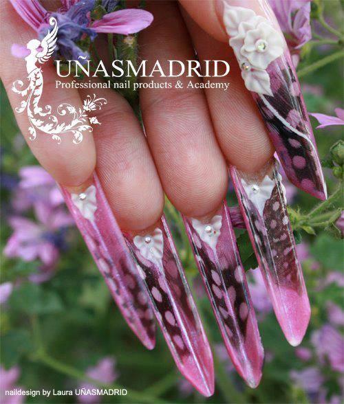 1505639_664113340298103_1475769083_n