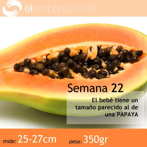 bebe-22-semanas-embarazo