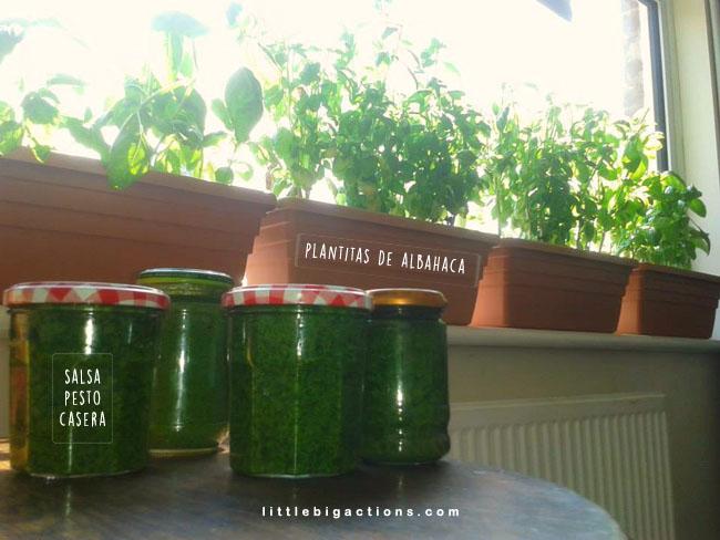 albahaca y pesto