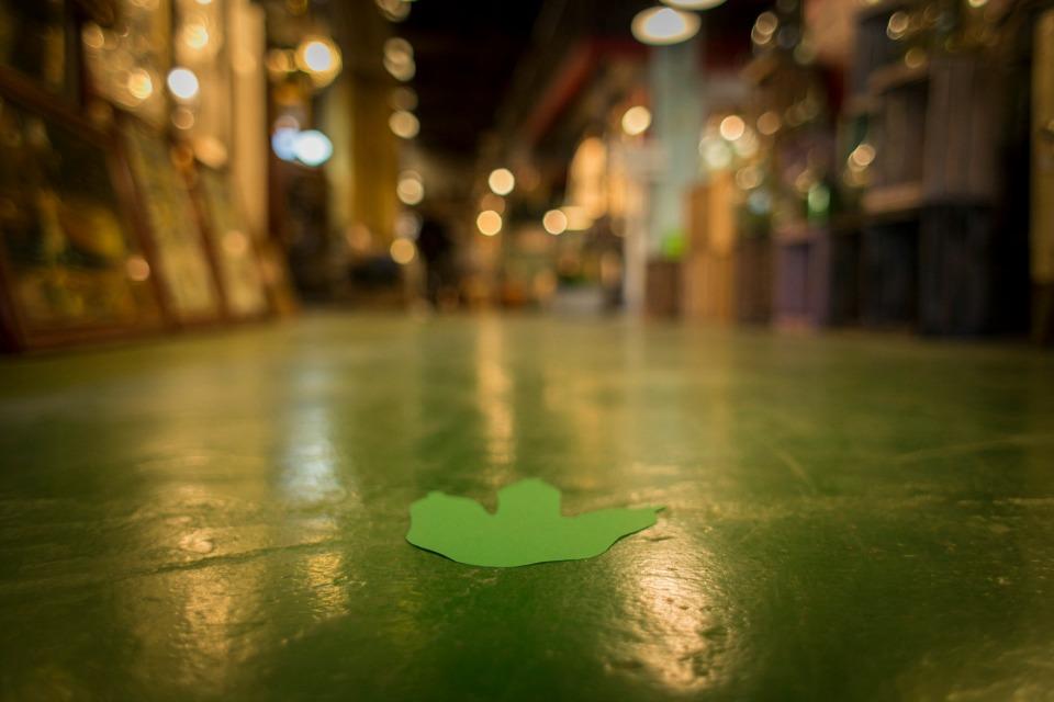 Una fiesta de dinosaurios en All Lovely Party