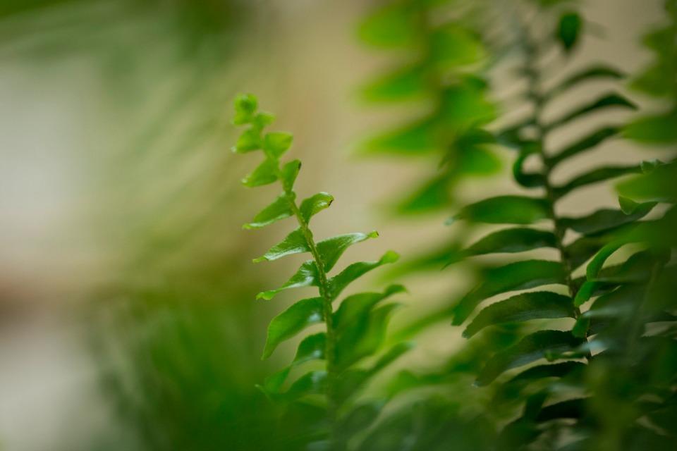 Una fiesta de dinosaurios en All Lovely Party