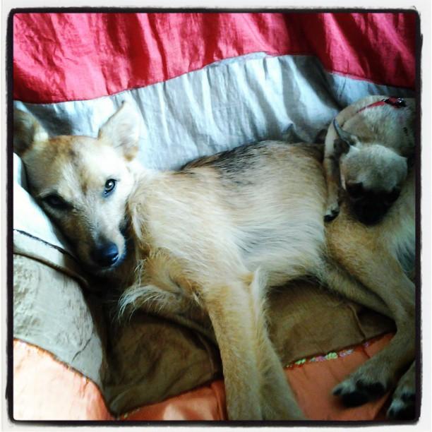 6e8fc-lili25c325b1a2by2bkeki25c325b1a