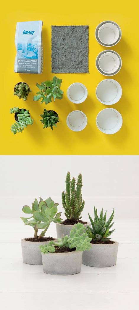 6a0162fdc1d135970d019b0277c4ec970d-800wi