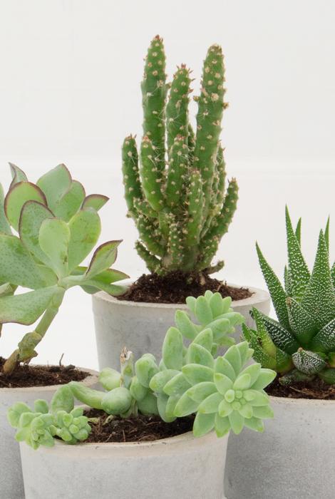 6a0162fdc1d135970d019b0276d9bd970c-800wi