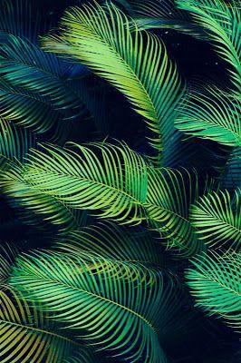 6b9e859ef47d0928ee89e72b05389615