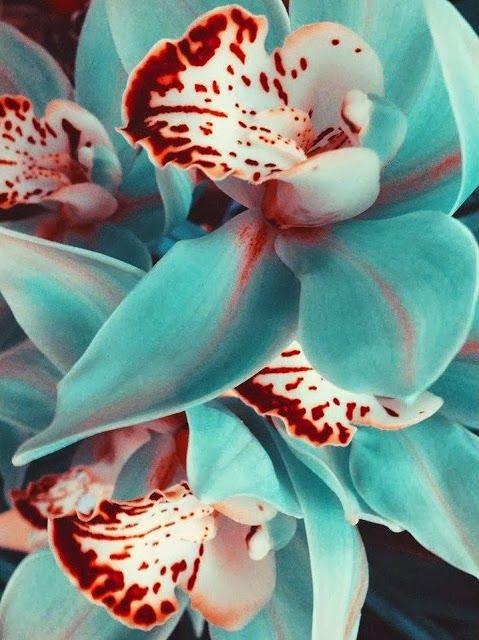 9bb4f15c6862b0b39716886ef69b023d