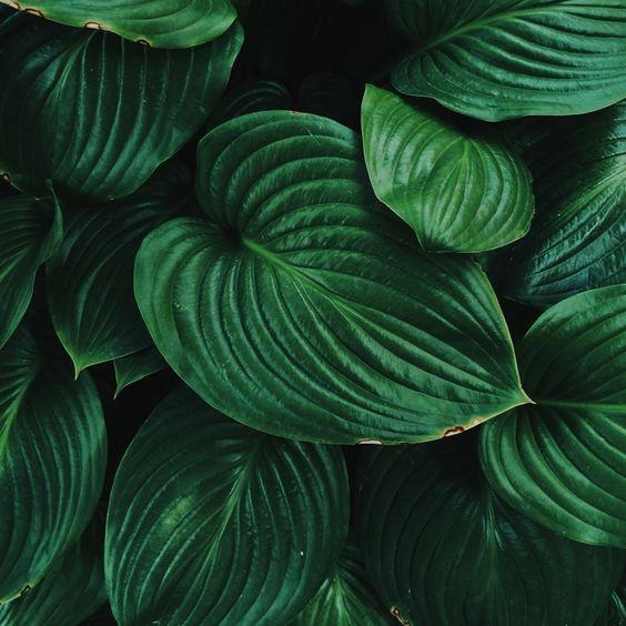 56c729b905b1d2c6e05d3b864dda11f6