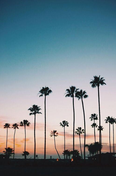 931c4293279c21d6362f033812069b0e