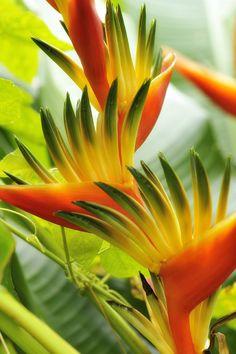 5893f807c85a19cbd6a82c310ce8fa1f