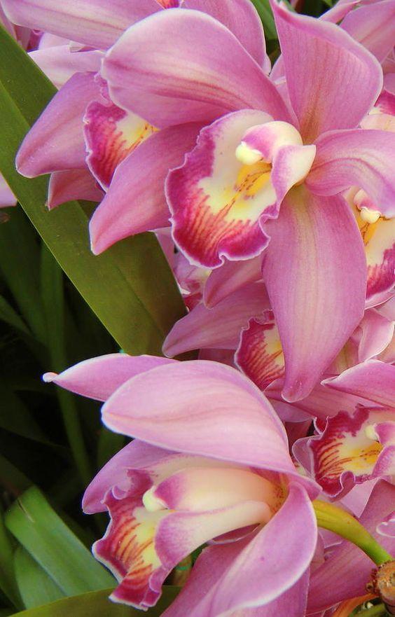 d2e7d551a1c5ba538ae1356d53de3c80