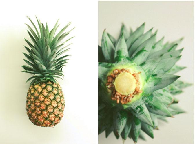 DIY tu propia planta piña natural en casa