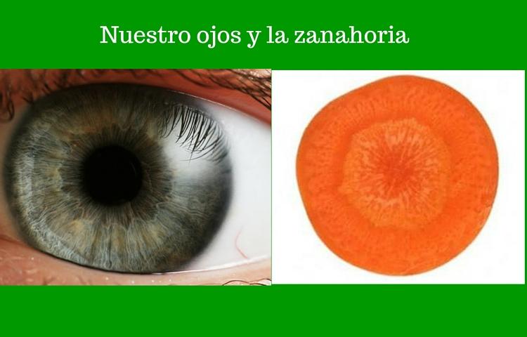 nuestro iris y la zanahoria