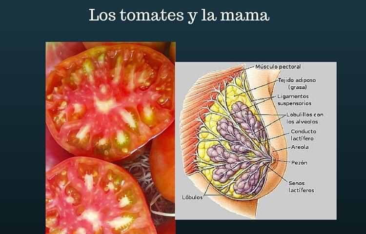 6 frutas y verduras para cada parte de nuestro cuerpo