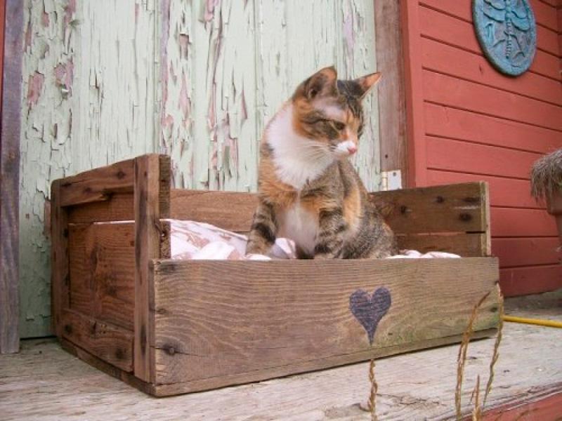 Cama-para-gato-con-caja-de-fruta-de-madera