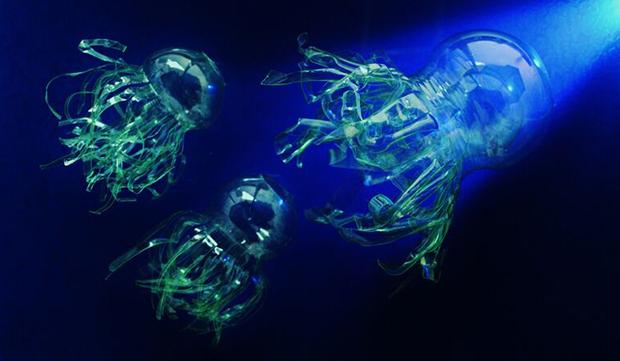 rosa_ana_montesa_andrces_buscando_un_lugar_mejor (1)