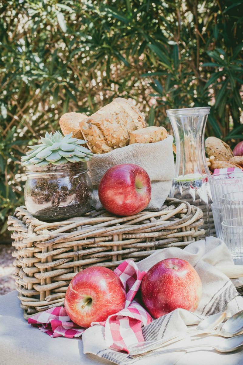 Una preboda silvestre en All Lovely Party